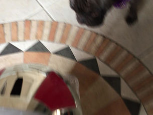AI robot makes dogs angry