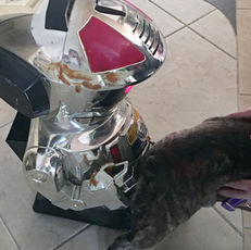AI Veterinarian