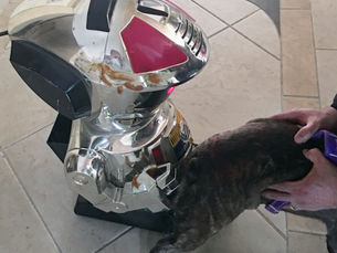 AI Veterinarian