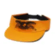 Antihero Basic Eagle Visor Orange