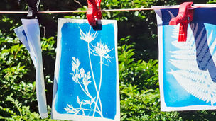 Cyanotypie: het blauwe avontuur