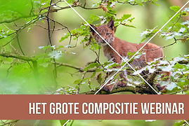 compositieebinar.jpg