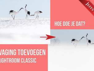 vervagingen toevoegen met lightroom
