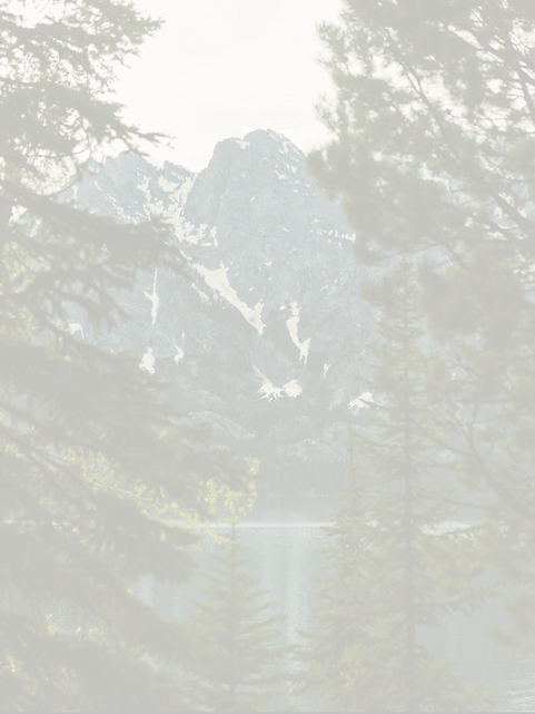 Untitled design (1).png