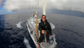 Post 5: Old Newmo and the Sea
