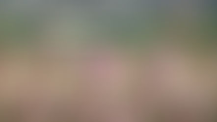 Experience the gems of Lancaster County - for free!