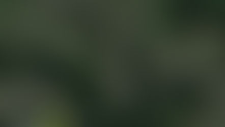 The Homing Instinct (#52Ancestors week 18: Close Up)