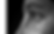 Oko.png