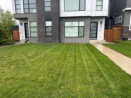 Front Lawn, Lawncare Calgary