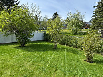 Back Lawn, Lawncare Calgary