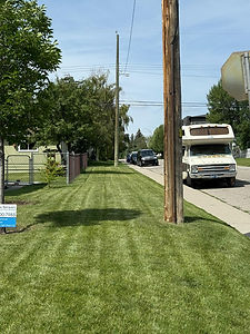 Side Yard, Lawncare Calgary