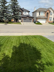 Front Lawn, Lawncare Calgary