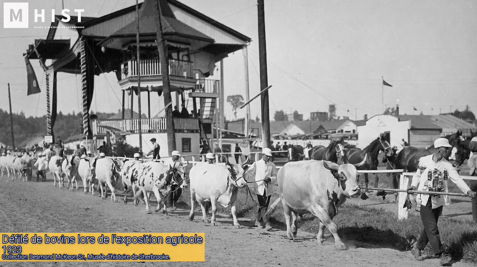 Screenshot 2024-11-13 at 2.08.36 PM.png