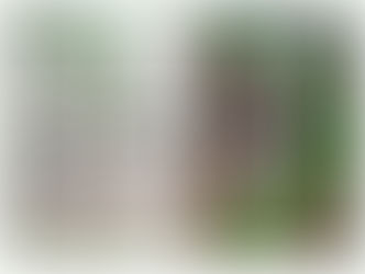 Upcoming March Madness Fun!