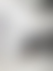 Petsmart Automatic Cat Feeder Reviews