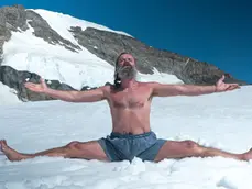 שיטת וים הוף