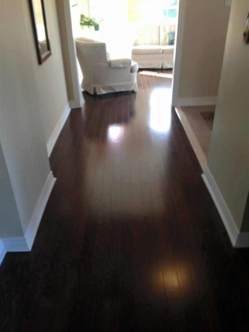 11990398_965931256797768_4661090912839809871_n