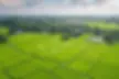 land-landscape-green-field-aerial-600nw-2504778555.webp
