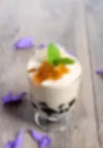 GRASS JELLY DELIGHT