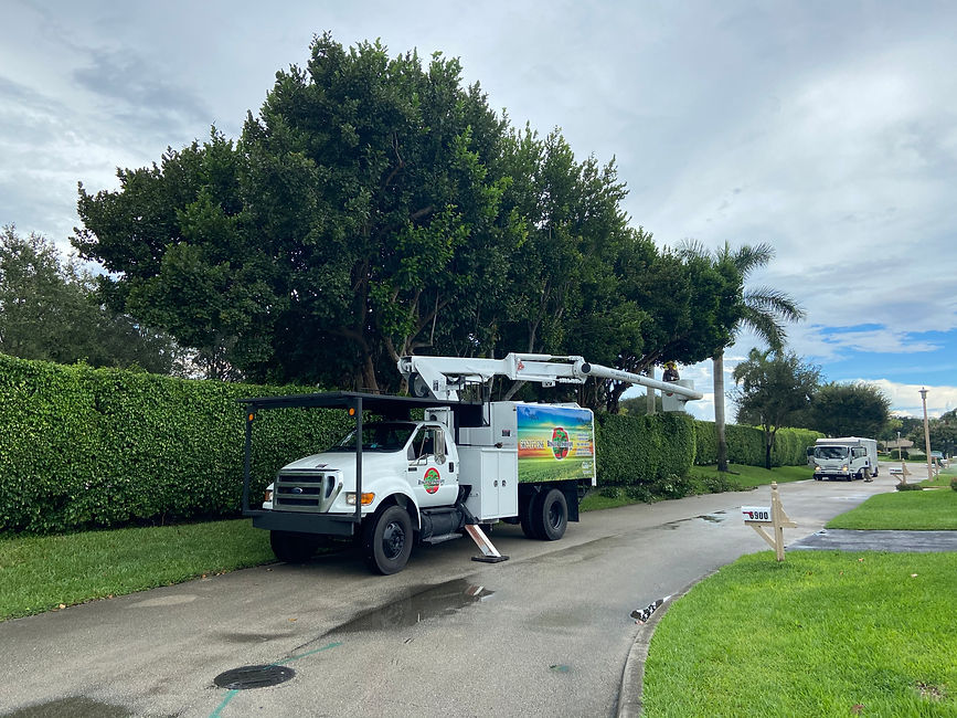 Tree Trimming bucket truck and crew performing service.
