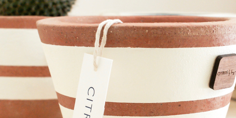 'ART ON A POT'