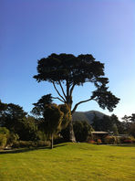 IMG_1357.jpeg