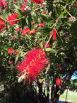 IMG_5009.jpeg