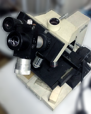 Compound Microscope.png