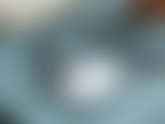 Maximizing Interaction Potential at the 2025 PhilFIDA Workshop Site