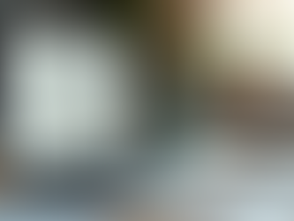 Enhancing User Experience on the PhilFIDA Workshop Website