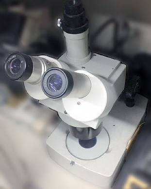 Stereo microscope.png