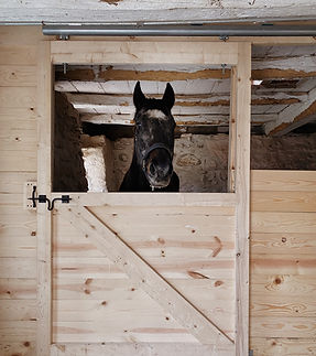 custom built horse stall