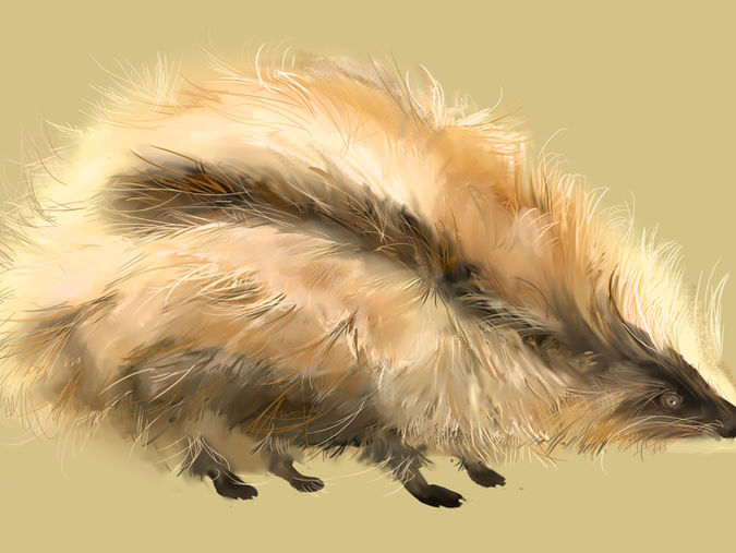 Skect of a Rat.jpg
