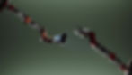 Low res - frame at 0m2s.jpg