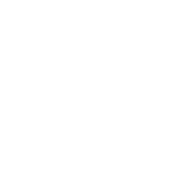 neural-UPDATE1.png