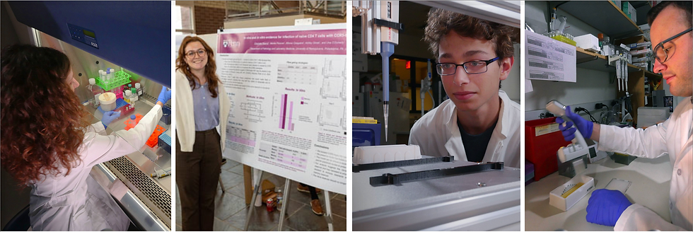 Screenshot 2024-01-01 at 7.32.37 PM.png