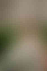 unconventional bride and groom at Cathedral of Christ the King Catholic wedding photos in Buckhead, Georgia