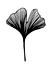 The Minimal Sort Logo