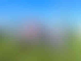 Power-2Go early doors at Plantworx