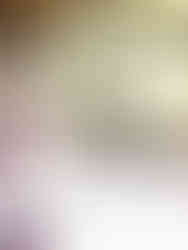 Every corner is lit by the TL-300