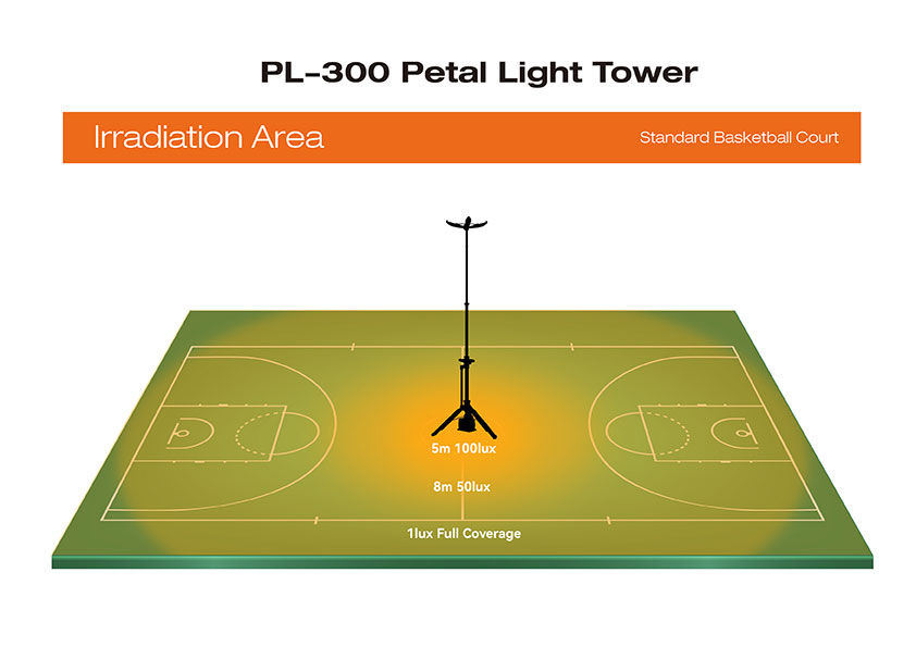 PL-300 Lighting Area Basketball Court