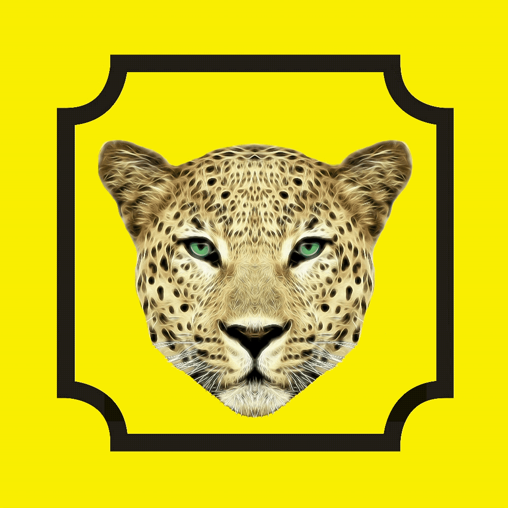 yellow.gif