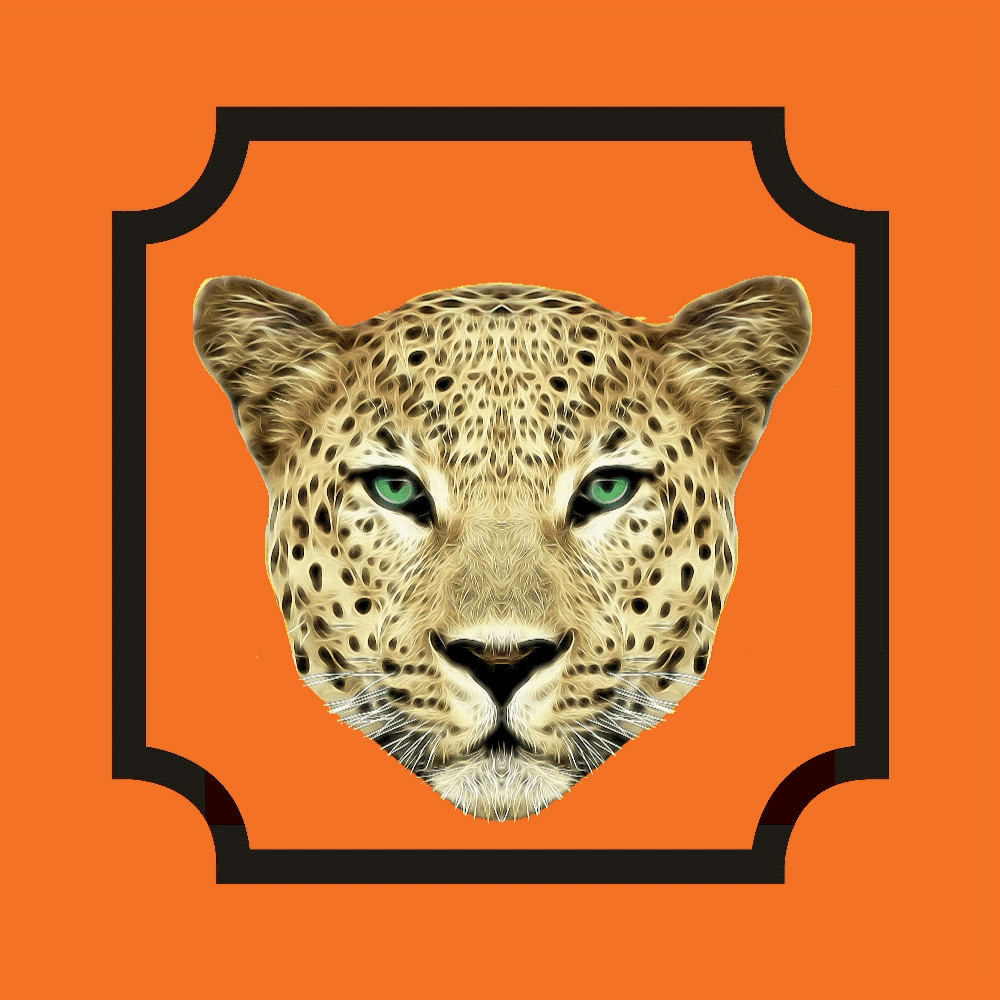 orange.gif