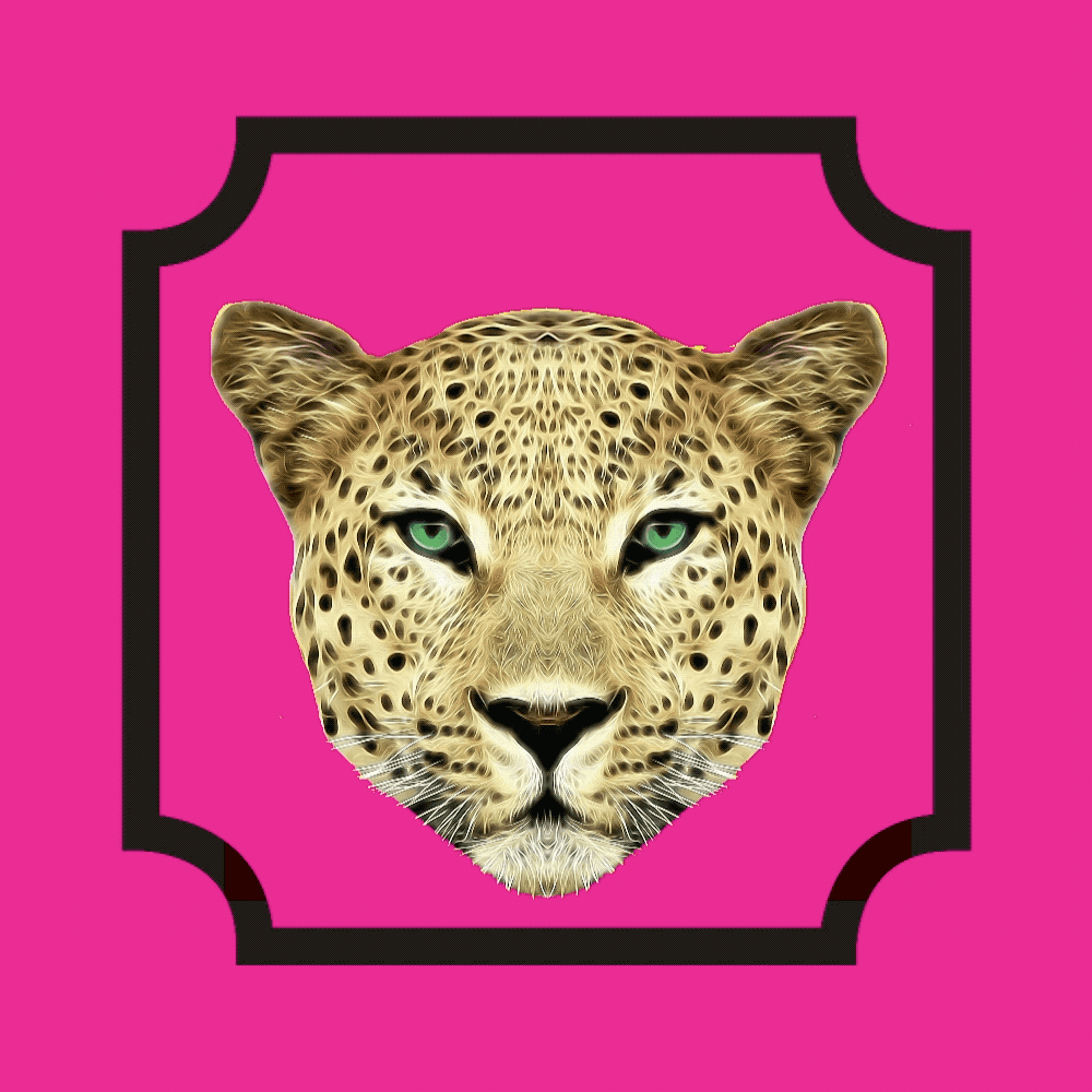 hot pink.gif