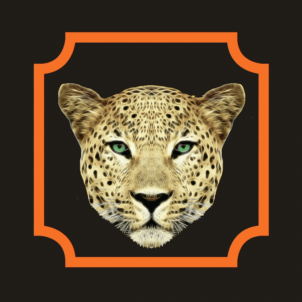 orange black.gif