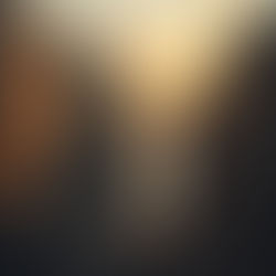 Standing in the Gap: The Call to Carry One Another’s Burdens