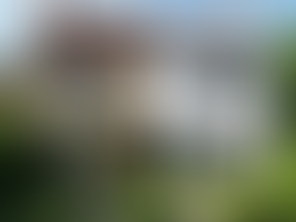 risch saniertes Einfamilienhaus in Bad Friedrichshall mit neuer Fassade, modernen Fenstern und gepflegtem Garten – Symbolbild für erfolgreiche Haussanierung und Modernisierung