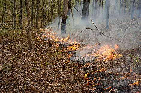 800px-Piedmont_C26_Prescribed_Fire_(1377