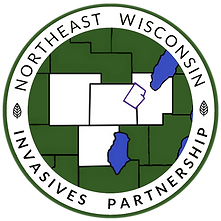 NEWIP LOGO.png