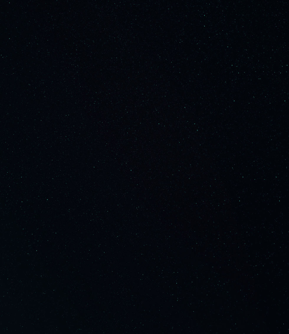 cosmos_20241024175542_edited.jpg